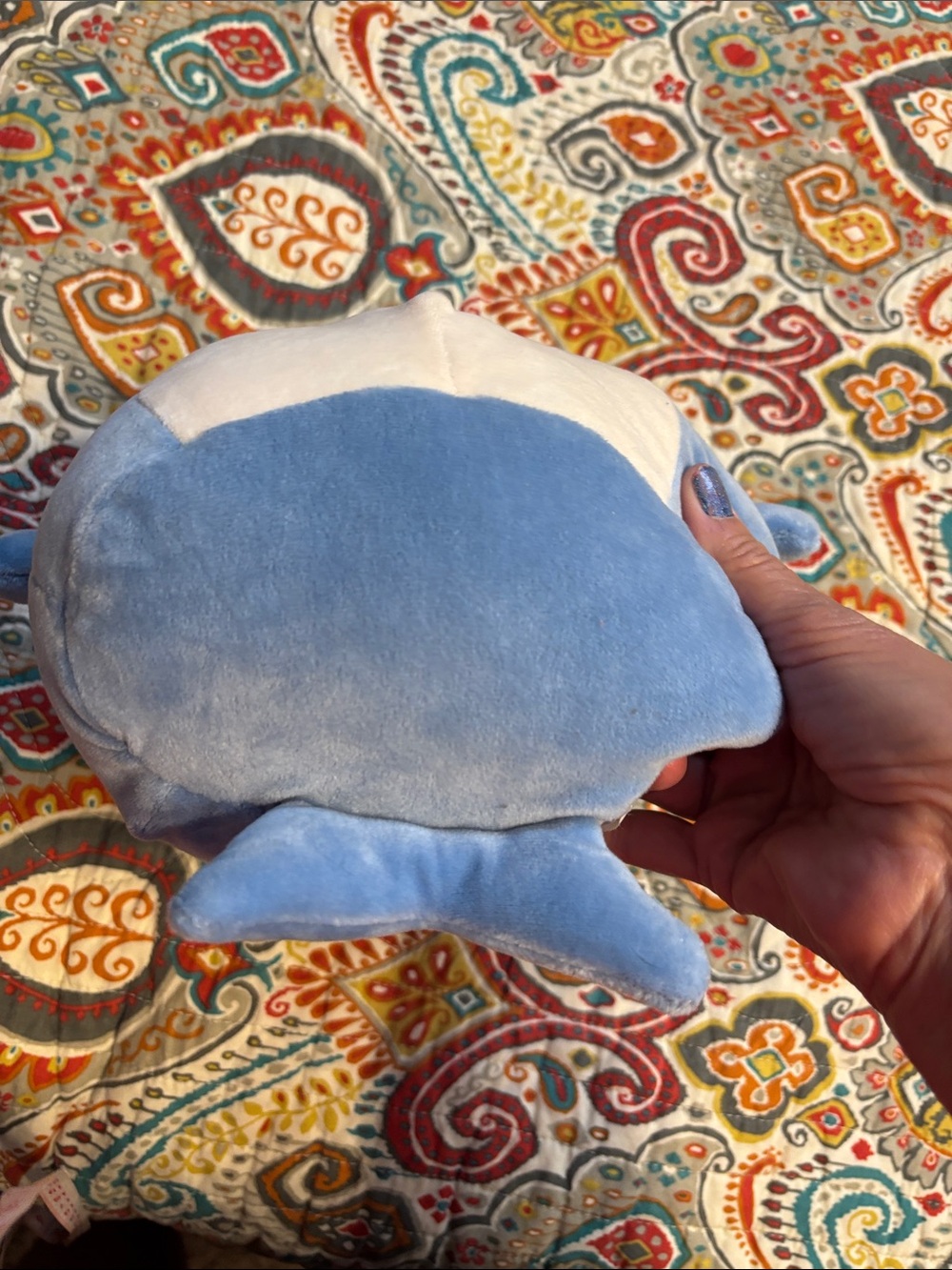 Squishmallow blue Plush Shark Toy - "You're Jawsome!" Embroidered - Picture 7 of 11